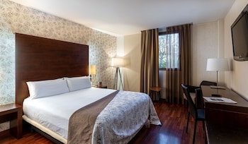 Double Room Single Use, 1 Queen Bed
