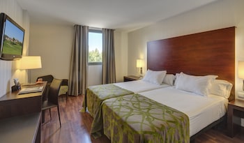 Double Room Single Use, Multiple Beds