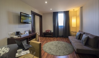 Executive Suite, 1 King Bed