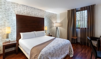 Double Room Single Use, 1 Queen Bed