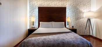 Double Room Single Use, 1 Queen Bed
