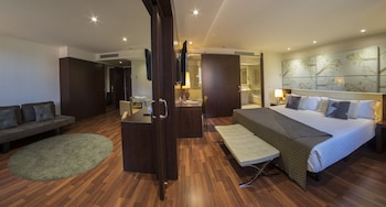 Executive Suite, 1 King Bed