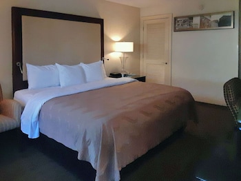 Room, 1 Queen Bed, Accessible, Smoking