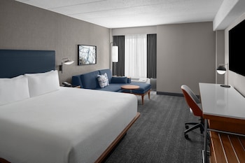 Room, 1 King Bed with Sofa bed (Mobility Accessible, Roll-in Shower)