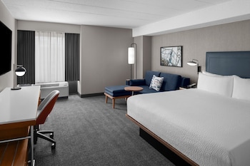 Room, 1 King Bed with Sofa bed (Mobility Accessible, Roll-in Shower)