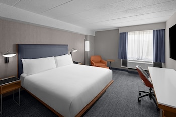Room, 1 King Bed with Sofa bed