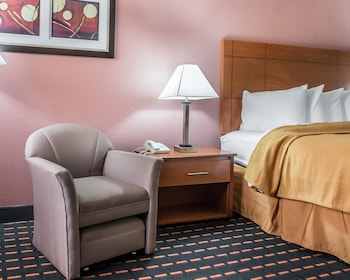 Standard Room, 1 King Bed, Non Smoking
