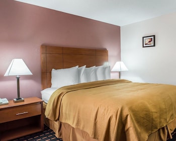Standard Room, 1 King Bed, Non Smoking
