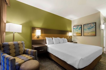 Standard Room, 1 Queen Bed, Accessible, Non Smoking (Walk-in Shower)