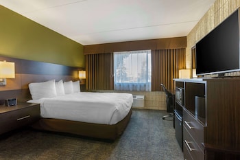 Standard Room, 1 Queen Bed, Accessible, Non Smoking (Walk-in Shower)