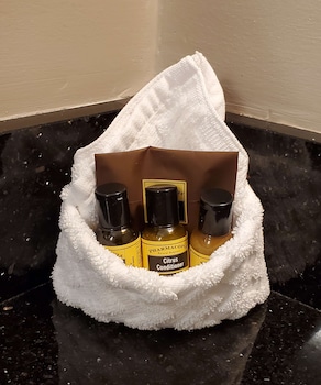 Standard Room, 1 Queen Bed, Accessible, Non Smoking (Walk-in Shower)