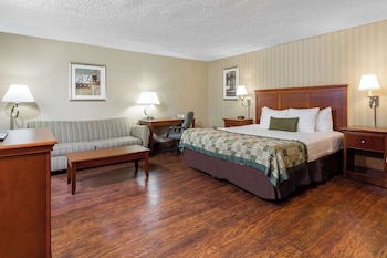 Room, 1 King Bed with Sofa bed, Smoking