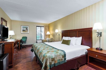 Standard Room, 1 King Bed, Non Smoking
