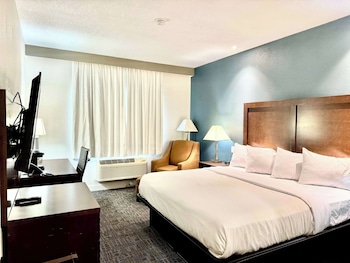 Room, 1 King Bed, Non Smoking