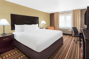 Business Room, 1 King Bed