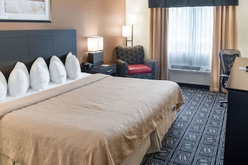 Standard Room, 1 King Bed, Non Smoking