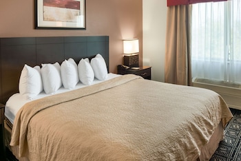 Standard Room, 1 King Bed, Non Smoking