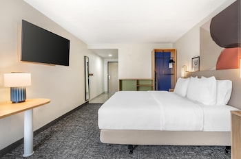 Room, 1 King Bed, Accessible (Roll-In Shower)