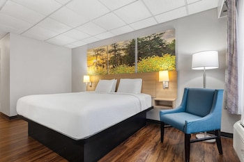 Deluxe Room, 1 King Bed, Non Smoking