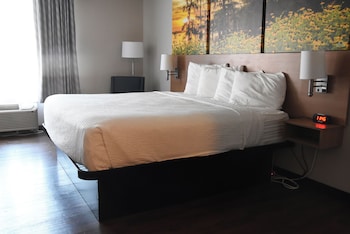 Deluxe Room, 1 King Bed, Non Smoking