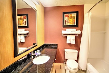 Room, 1 King Bed, Hearing Accessible (Roll-in Shower)