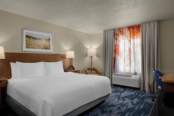 Room, 1 King Bed, Hearing Accessible (Roll-in Shower)
