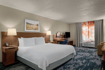Room, 1 King Bed with Sofa bed