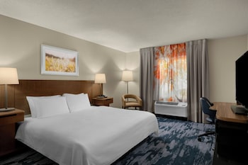 Room, 1 King Bed, Hearing Accessible (Roll-in Shower)