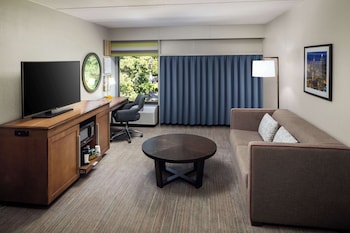 Suite, 1 King Bed (Special)