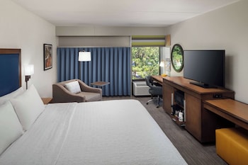 Room, 1 King Bed, Accessible, Non Smoking