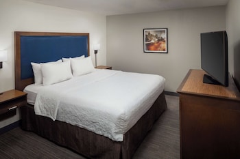 Suite, 1 King Bed (Special)