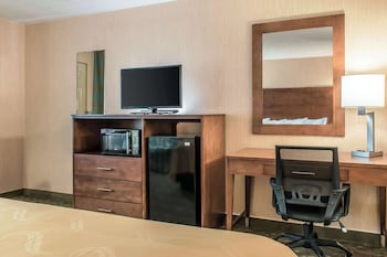 Standard Room, 1 King Bed with Sofa bed, Non Smoking (No Pets)