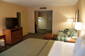 Standard Room, 1 King Bed with Sofa bed, Non Smoking (No Pets)