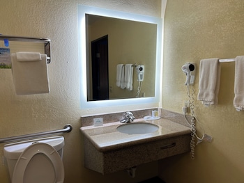 Suite, 1 Queen Bed, Non Smoking (One-Bedroom)