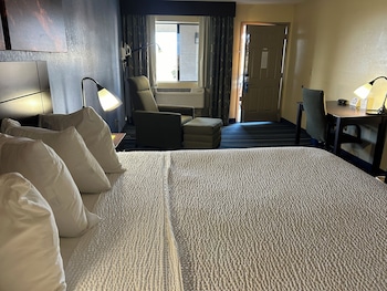 Room, 1 King Bed, Non Smoking