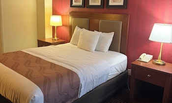 Single Room, 1 Queen Bed