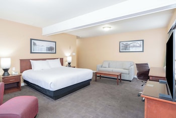 Standard Room, 1 King Bed with Sofa bed