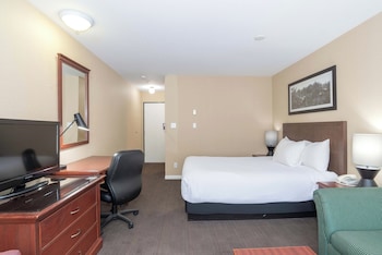 Standard Room, 1 Queen Bed with Sofa bed