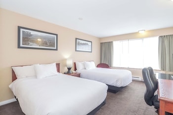 Standard Suite, Multiple Beds