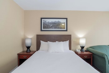 Standard Room, 1 Queen Bed with Sofa bed