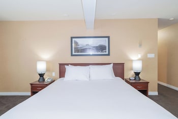 Standard Room, 1 King Bed with Sofa bed