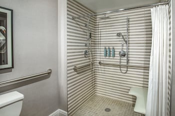 Traditional Room, 1 King Bed (Mobility/Hearing Access, Roll-In Shwr)