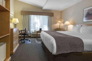 Deluxe Studio Suite, 2 Queen Beds, Non Smoking