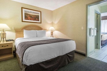 Business Room, 1 King Bed, Non Smoking