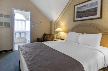 Business Room, 1 King Bed, Non Smoking