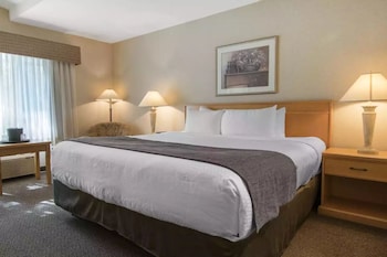 Business Room, 1 King Bed, Non Smoking