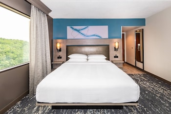 Room, 1 King Bed (Hearing Accessible)