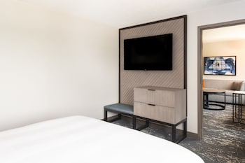 One Bedroom Suite, 1 King Bed and Sofa Bed