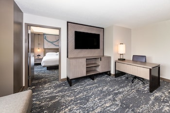 One Bedroom Suite, 1 King Bed and Sofa Bed