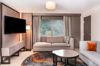 Executive Suite, 1 Bedroom, Smoking